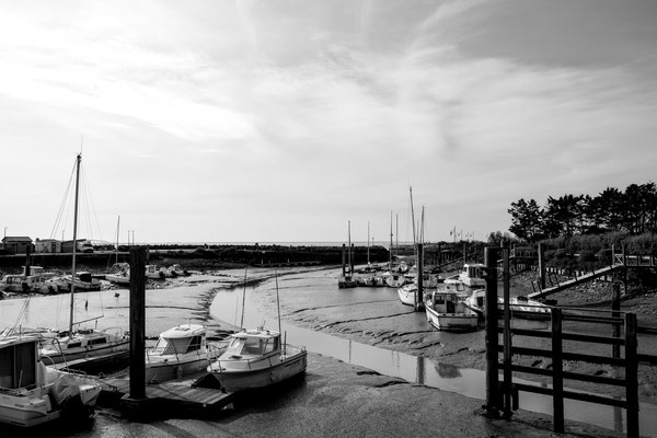 F 11 - 1/400 s - 160 iso