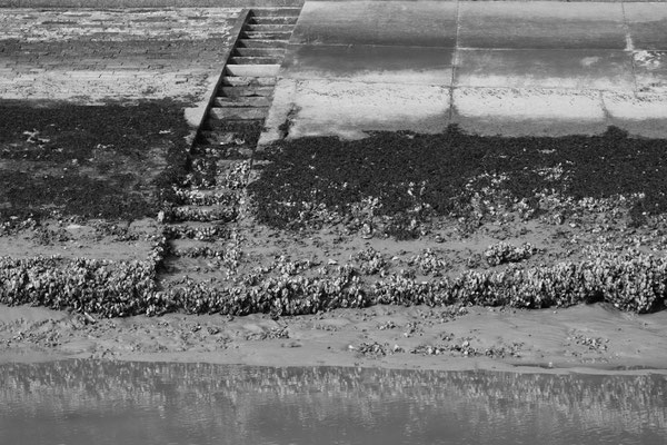 F 6.3 - 1/400 s - 100 iso