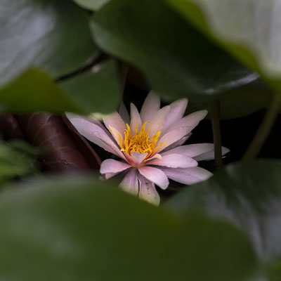Daniel / F 3.2 - 1/320 s - 200 iso