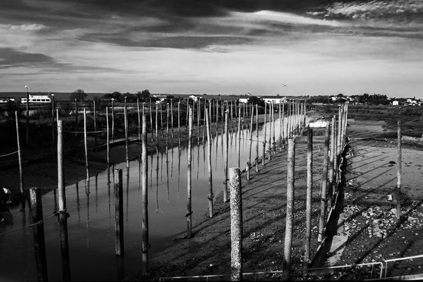 F 10 - 1/125 s - 100 iso