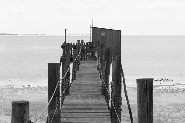 F 9 - 1/400 s - 200 iso