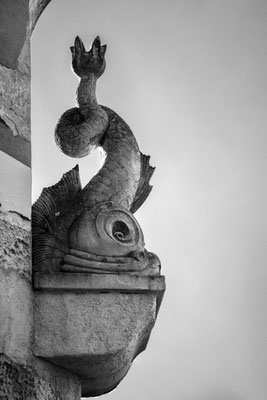 F 5.6 - 1/2000 s - 100 iso