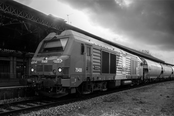 F 11 - 1/500 s - 320 iso