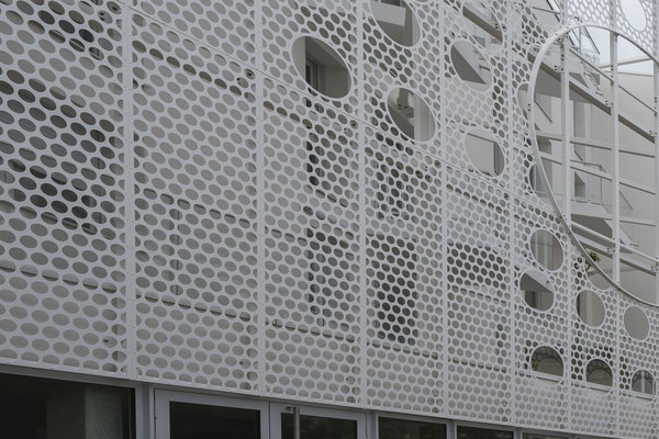 F 5.6 - 1/800 s - 100 iso