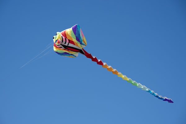 F 10 - 1/200 s - 100 iso