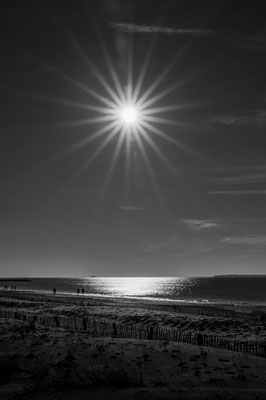 F 14 - 1/2000 s - 100 iso