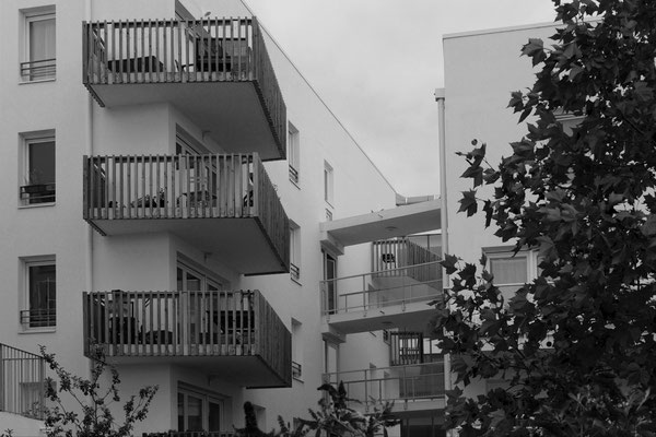 F 8 - 1/200 s - 400 iso