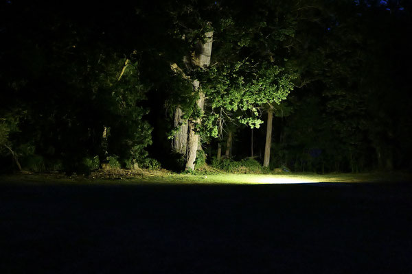 Pascal / F 4 - 1/60 s - 51 200 iso