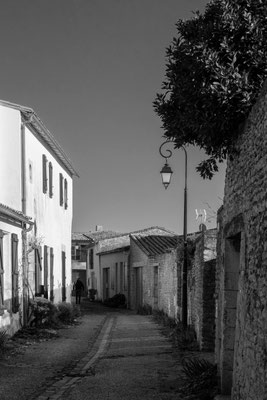 F 11 - 1/1250 s - 320 iso
