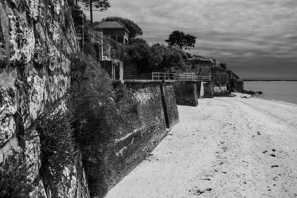 F 14 - 1/200 s - 100 iso