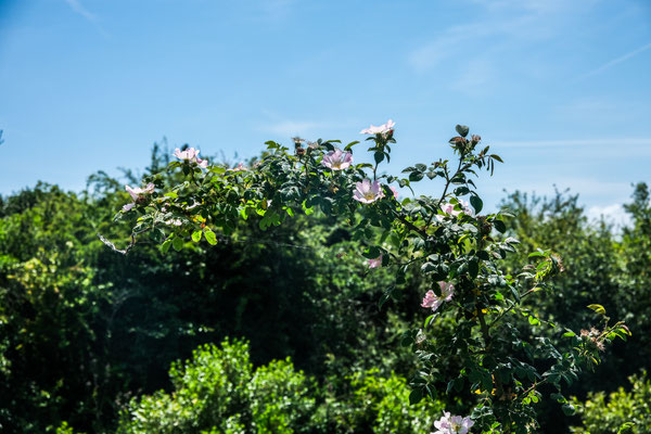 F 9 - 1/340 s - 160 iso
