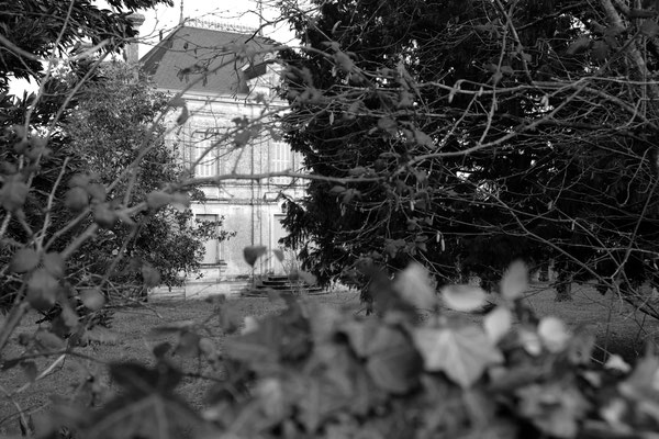 F 5 - 1/125 s - 200 iso