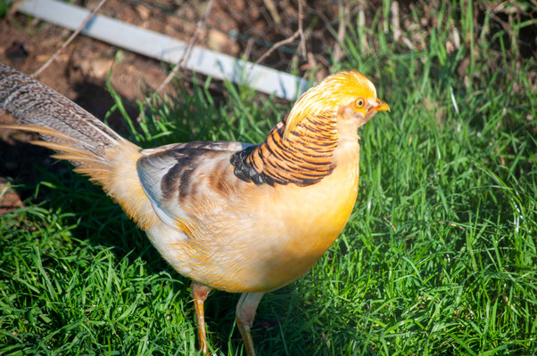 F 5.6 - 1/320 s - 200 iso