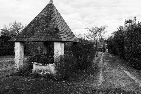 F 9 - 1/100 s - 250 iso