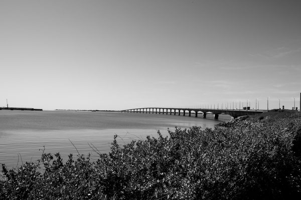 F 10 - 1/350 s - 160 iso