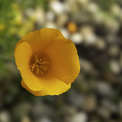Guy / F 4 - 1/900 s - 160 iso