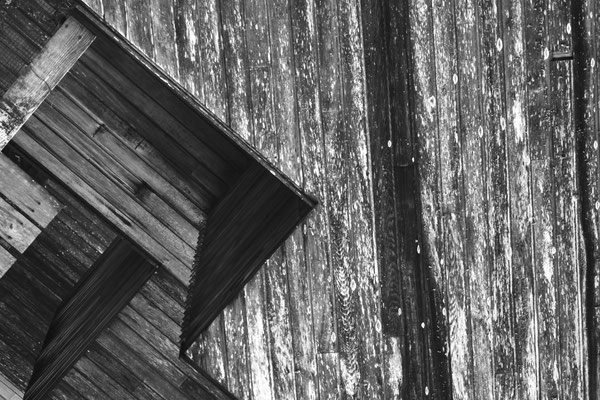 F 11 - 1/125 s - 125 iso