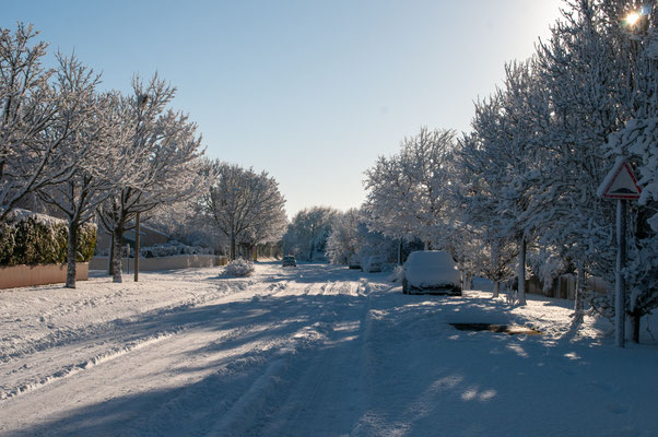 F 9 - 1/1250 s - 200 iso