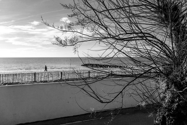 F 8 - 1/750 s - 160 iso