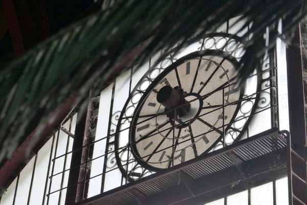F 6.3 - 1/800 s - 1 000 iso