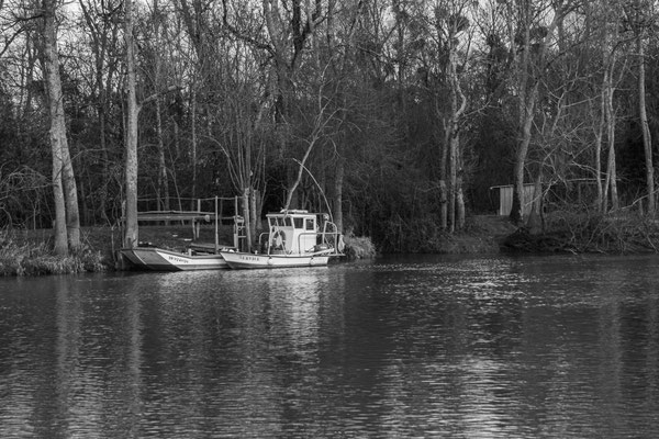 F 5.6 - 1/80 s - 250 iso