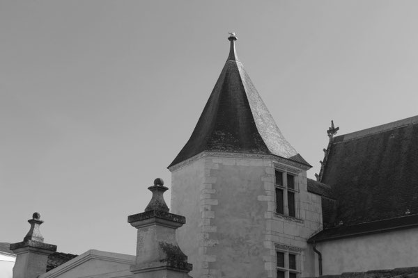F 7.1 - 1/125 s - 125 iso
