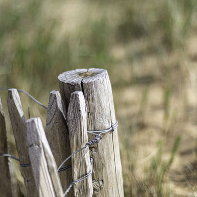 Jean-Michel / F 1.4 - 1/5000 s - 50 iso