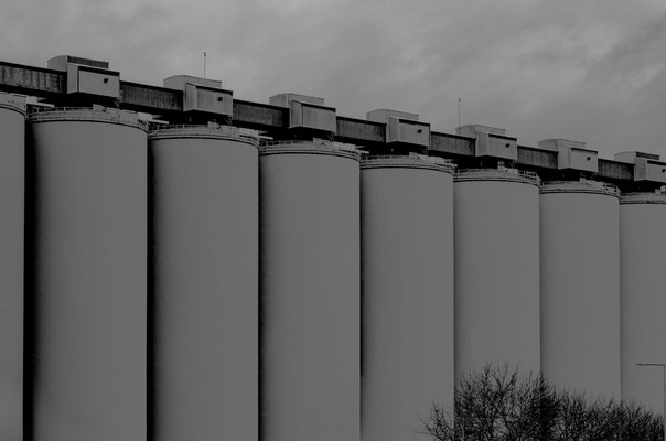 F 13 - 1/125 s - 400 iso