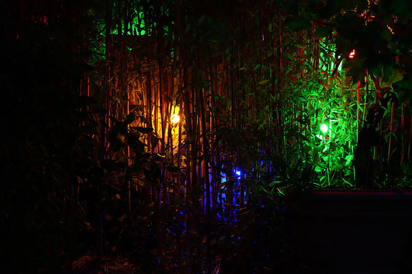 Pascal / F 4.8 - 1/30 s - 12 800 iso