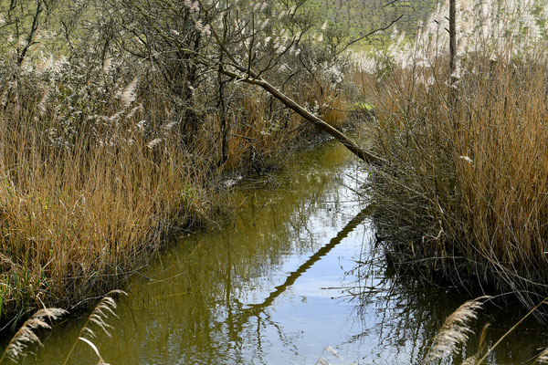 F 13 - 1/125 s - 125 iso
