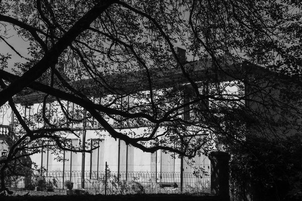F 20 - 1/100 s - 250 iso