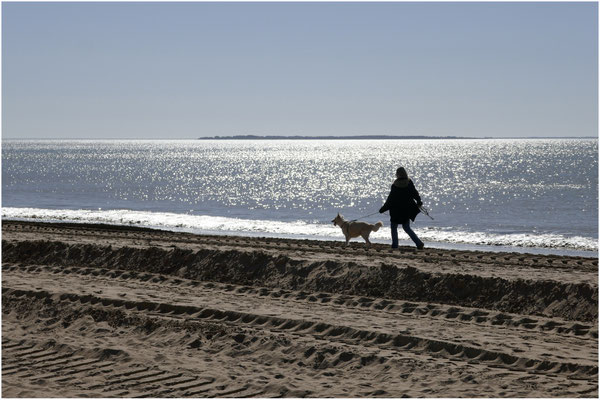 F 6.3 - 1/3200 s - 200 iso