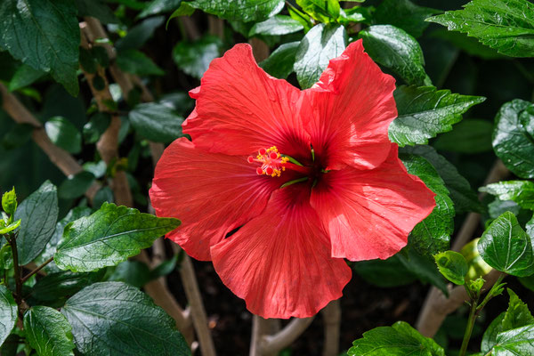 F 5.6 - 1/220 s - 400 iso