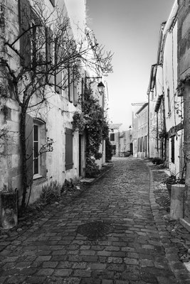 F 11 - 1/50 s - 400 iso