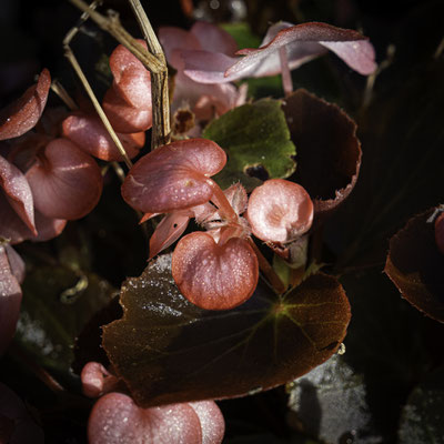Guy / F 8 - 1/200 s - 250 iso