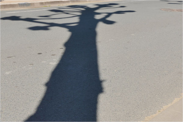 F 11 - 1/160 s -  125 iso
