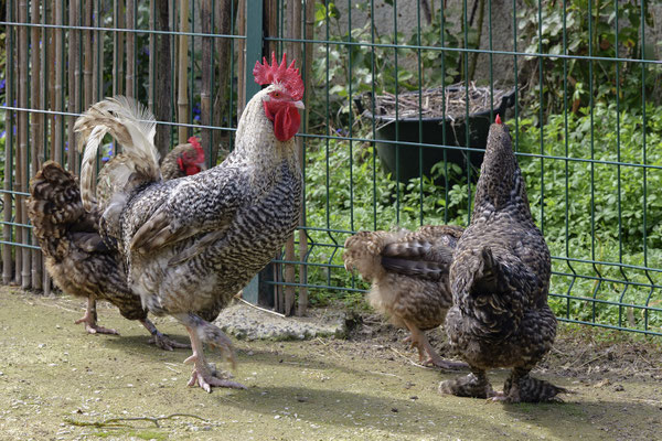 F 7.1 - 1/125 s - 200 iso