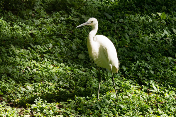 F 6.3 - 1/500 s - 400 iso