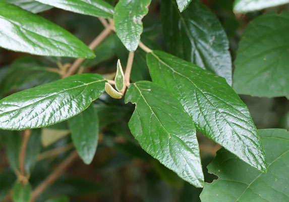 F 6.9 - 1/40 s - 640 iso