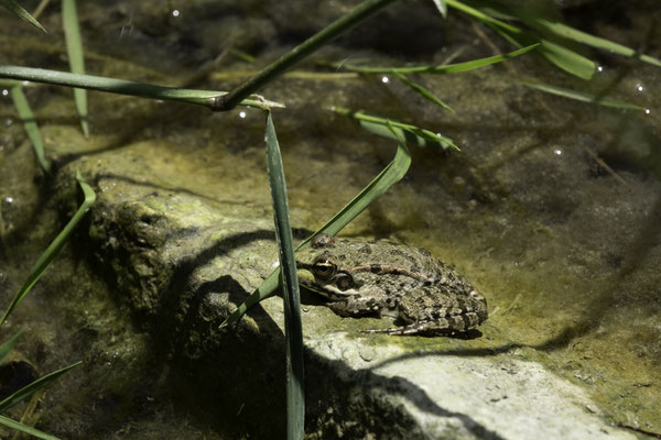 F 10 - 1/1240 s - 200 iso