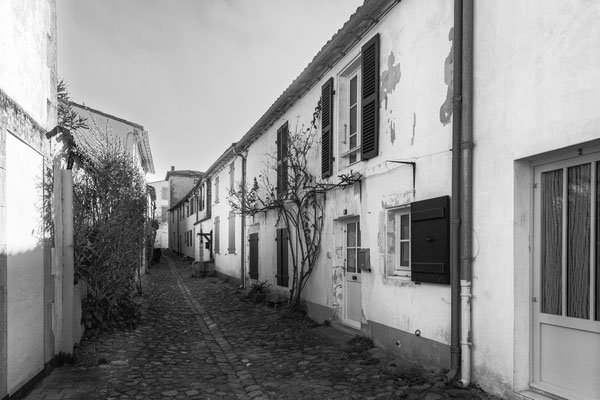 F 11 - 1/60 s - 100 iso