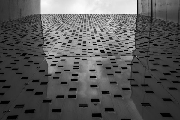 F 10 - 1/800 s - 100 iso