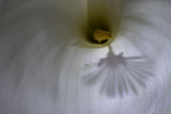 Daniel / F 4 - 1/320 s - 800 iso