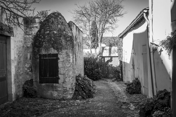 F 9 - 1/40 s - 100 iso