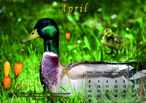 April