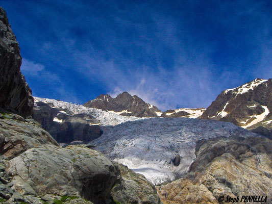 Parc National des Ecrins,  Pré de Madame Carle, le Glacier Blanc 
