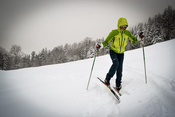 Ski de fond sur les Hauts Plateaux du Vercors