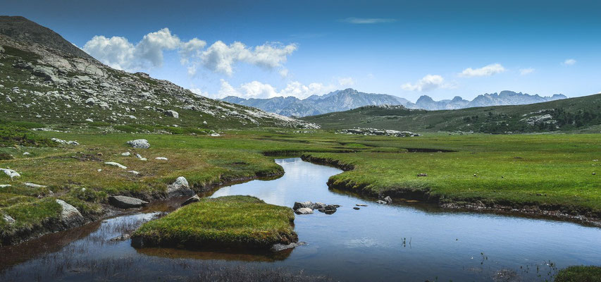 Pozzines du Lac de Nino dans les montagnes Corse. La pozzine est définie comme une tourbière acide très plane, le plus souvent parsemée de trous d'eau (pozzi en langue corse) que relient des chenaux naturels creusés par l'écoulement des neiges fondues.