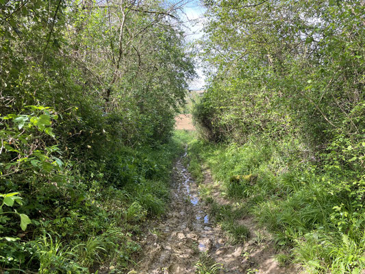 Schlammweg 1