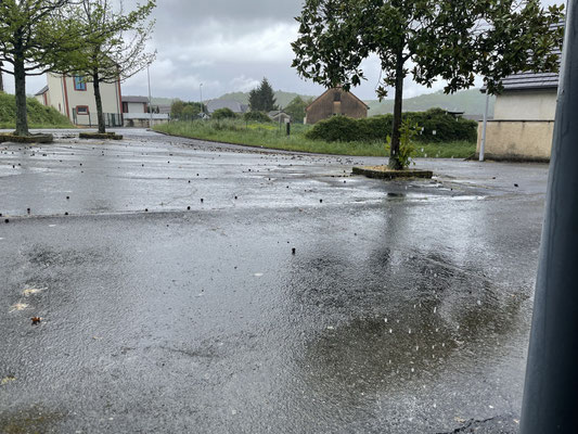 Regen